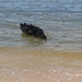 jethro 9-05-2008