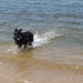 jethro 9-05-2008