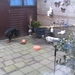 jethro 10-03-2008 (1)