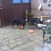 jethro 10-03-2008 (2)