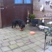 jethro 10-03-2008 (3)