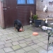 jethro 10-03-2008 (4)