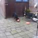 jethro 10-03-2008 (5)