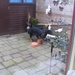 jethro 10-03-2008 (8)