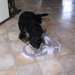 jethro 14-03-2008 (376)