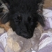 jethro 14-03-2008 (377)