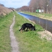 jethro 14-03-2008 (378)