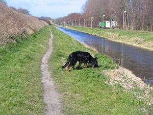 jethro 14-03-2008 (378)