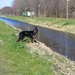 jethro 14-03-2008 (379)