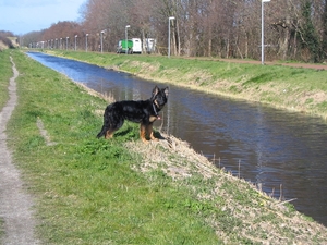 jethro 14-03-2008 (379)