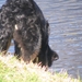 jethro 14-03-2008 (380)