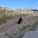 jethro 14-03-2008 (381)