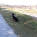 jethro 14-03-2008 (382)