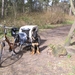 jethro 14-03-2008 (385)