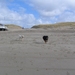 jethro 14-03-2008 (388)