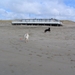 jethro 14-03-2008 (389)