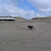 jethro 14-03-2008 (391)