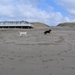 jethro 14-03-2008 (393)