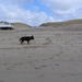 jethro 14-03-2008 (398)