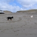 jethro 14-03-2008 (400)