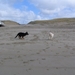 jethro 14-03-2008 (401)