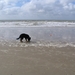 jethro 14-03-2008 (407)