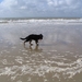jethro 14-03-2008 (408)