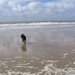 jethro 14-03-2008 (409)