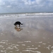 jethro 14-03-2008 (410)