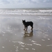 jethro 14-03-2008 (413)