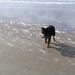 jethro 14-03-2008 (414)