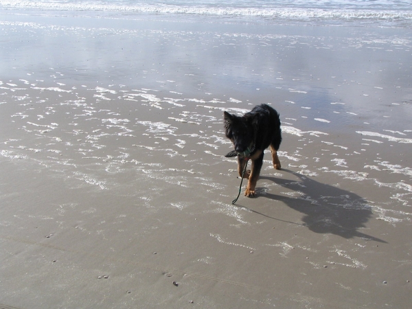 jethro 14-03-2008 (414)