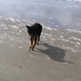 jethro 14-03-2008 (415)