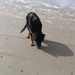 jethro 14-03-2008 (416)
