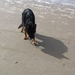 jethro 14-03-2008 (417)
