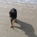 jethro 14-03-2008 (418)