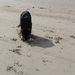 jethro 14-03-2008 (422)