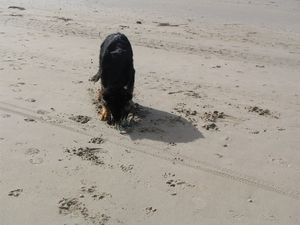 jethro 14-03-2008 (422)