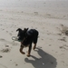 jethro 14-03-2008 (425)