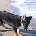 jethro 15-02-2008 (211)