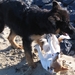 jethro 15-02-2008 (214)