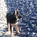 jethro 15-02-2008 (222)