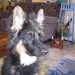 jethro 15-02-2008 (223)