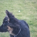 jethro 18-03-2008 (224)