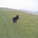 jethro 18-03-2008 (227)