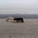 jethro 18-03-2008 (232)