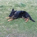 jethro 18-03-2008 (235)