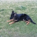 jethro 18-03-2008 (237)