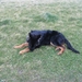 jethro 18-03-2008 (238)
