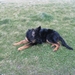 jethro 18-03-2008 (239)